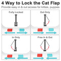 Magnetic Cat Flap Door with 4-Way Lock-My Little Pet