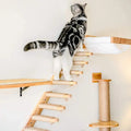 Wall-Mounted Wooden Cat Climbing Shelves - Four-Step Stair with Hammock-My Little Pet