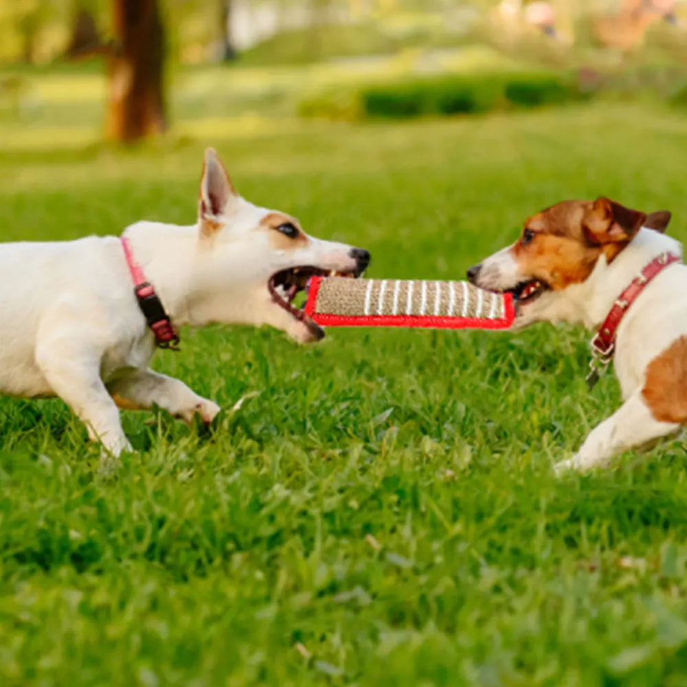 Jaoseko Dog Training Chew Toys - Durable Linen Bite Rods for Teeth Grinding and Interactive Play-My Little Pet