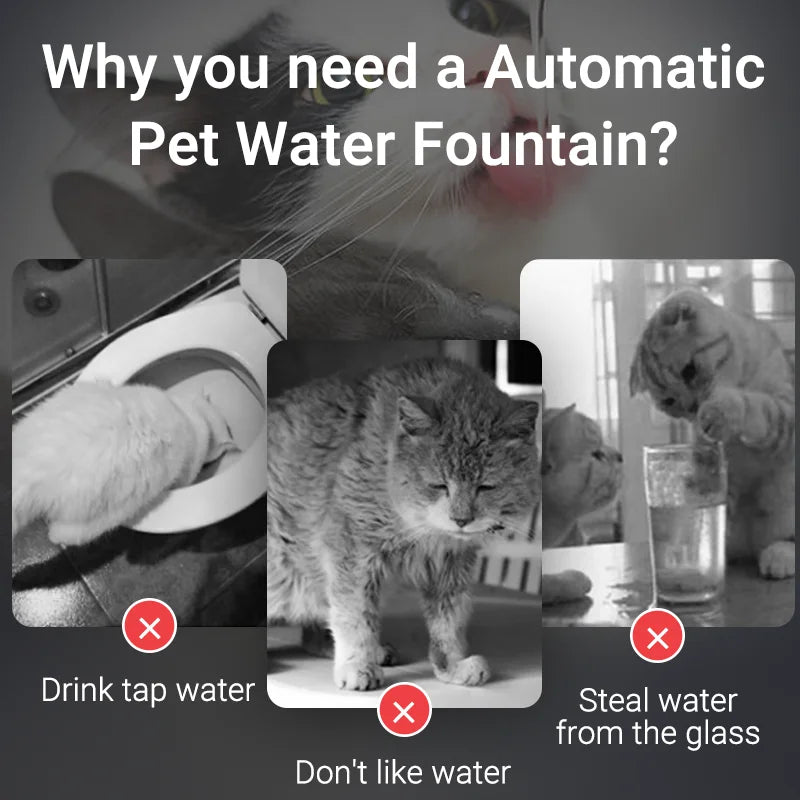 Transparent Automatic Water Fountain for Pets-My Little Pet