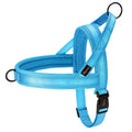 Adjustable No-Pull Dog Harness with Reflective Padding-My Little Pet