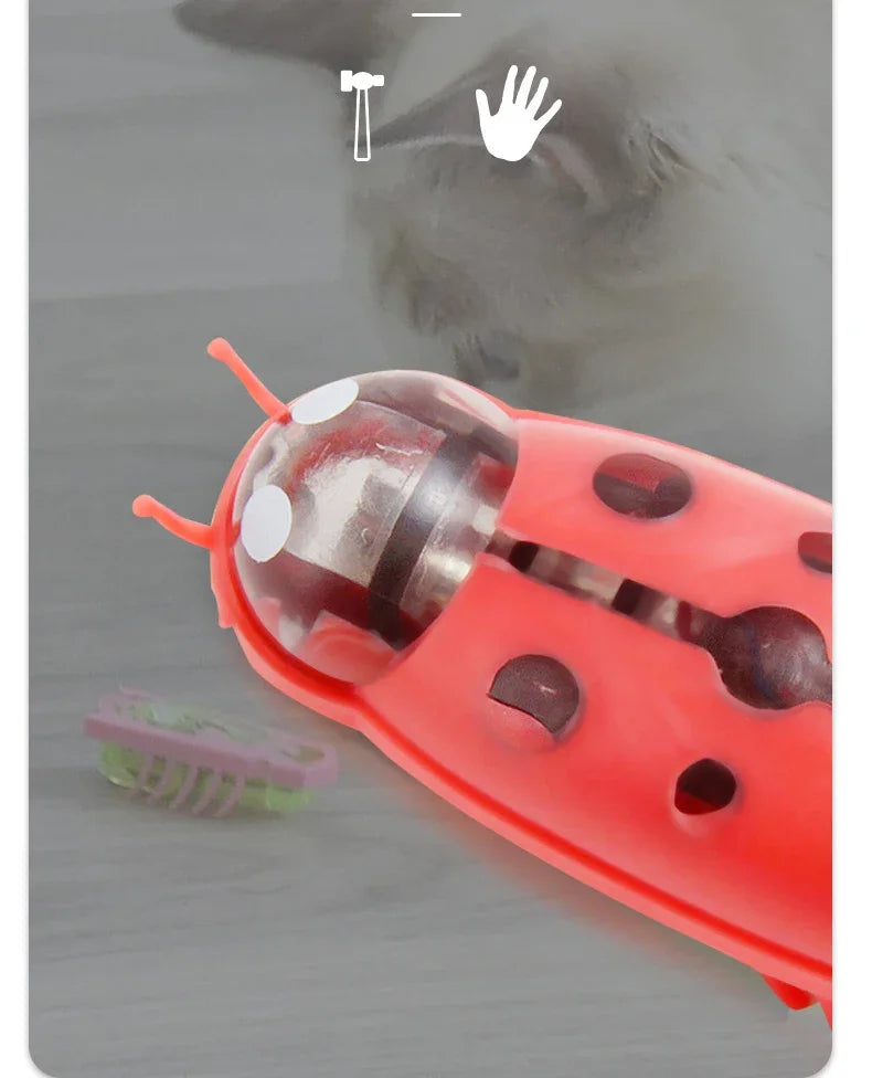 Interactive Electric Ladybird Beetle Toy for Cats-My Little Pet