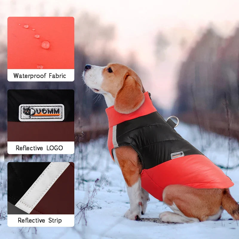 Waterproof Winter Dog Coat for All Sizes-My Little Pet