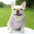 Stylish Dog Hoodie for Autumn and Winter - Warm Polyester Sweater for Small Pets-My Little Pet