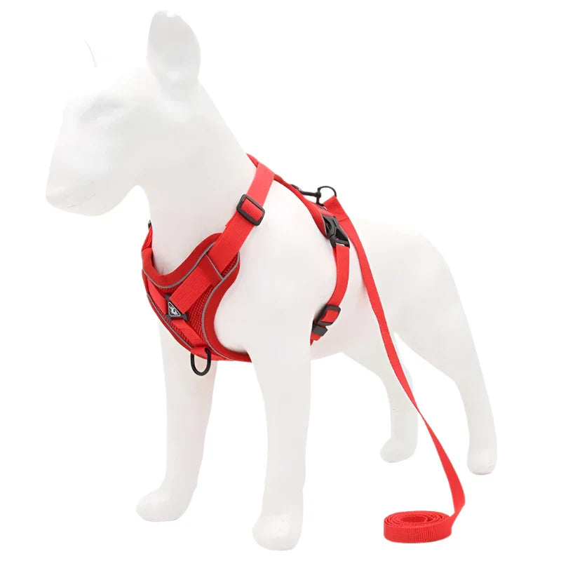 No-Pull Adjustable Dog Harness & Leash Set – Reflective Mesh Vest for Small Dogs & Cats - My Little Pet