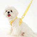 Macarone Color Pet Harness and Leash Set for Small Dogs and Cats-My Little Pet