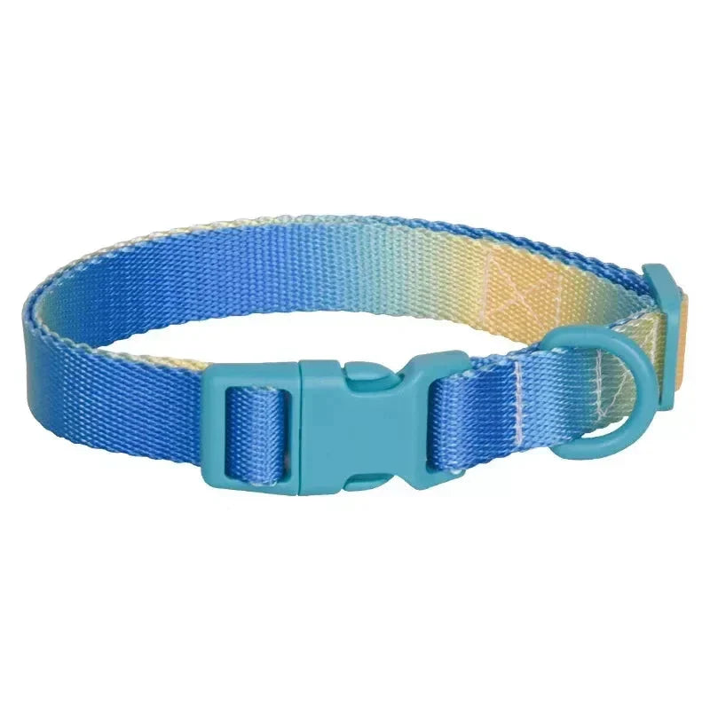 Adjustable Nylon Dog Collar with Quick Release - Available in Pink, Blue, Purple-My Little Pet