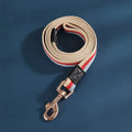 Durable Nylon Dog Leash for Training and Walking-My Little Pet