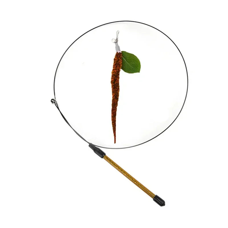 Interactive Peacock Feather Cat Toy with Bell and Suction Cup-My Little Pet