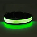 USB Rechargeable LED Dog Collar - Adjustable, Flashing Light Safety Collar for All Dog Sizes-My Little Pet