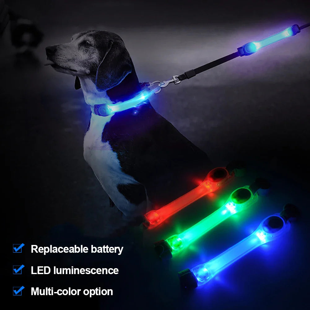 LED Safety Collar & Leash for Dogs - Waterproof with Flashing Lights-My Little Pet