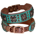 Luxury Genuine Leather Dog Collar with Spikes and Metal Rivets, 2inch Wide-My Little Pet