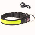 USB Rechargeable LED Dog Collar - Adjustable, Flashing Light Safety Collar for All Dog Sizes-My Little Pet