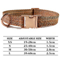 Personalized Dog Collar and Leash Set with Engraved Nameplate-My Little Pet