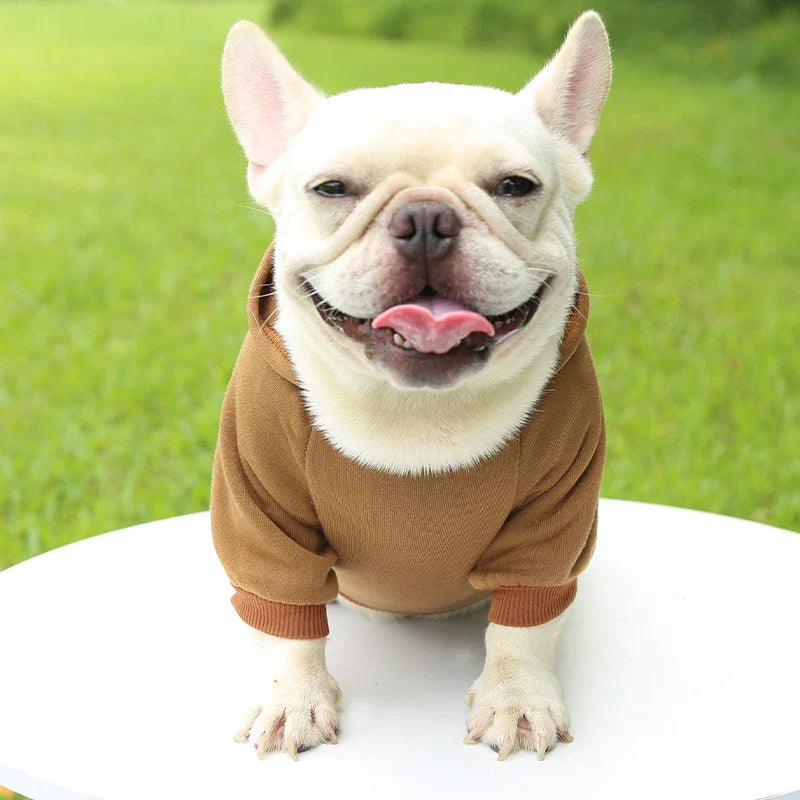 Stylish Dog Hoodie for Autumn and Winter - Warm Polyester Sweater for Small Pets-My Little Pet