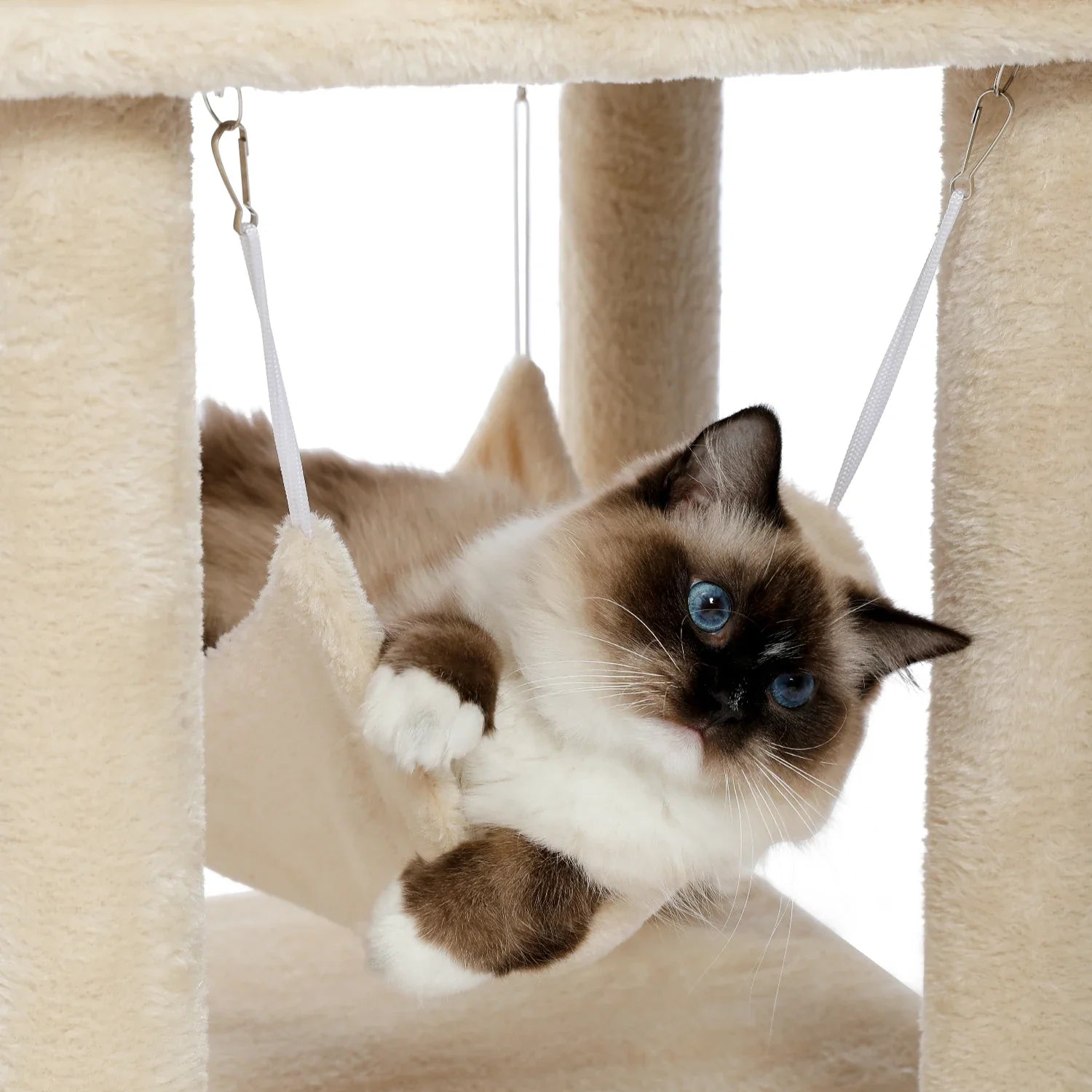 Multi-Level Cat Tree with Condo and Scratching Posts-My Little Pet