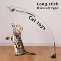 Interactive Peacock Feather Cat Toy with Bell and Suction Cup-My Little Pet