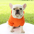 Stylish Dog Hoodie for Autumn and Winter - Warm Polyester Sweater for Small Pets-My Little Pet