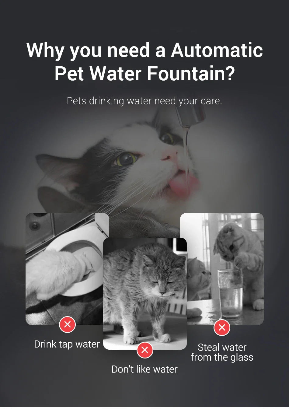 Transparent Automatic Water Fountain for Pets-My Little Pet