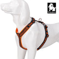 Truelove Reflective No-Pull Dog Harness - Tactical Military Training Design with Neoprene Padding and Adjustable Comfort Mesh-My Little Pet