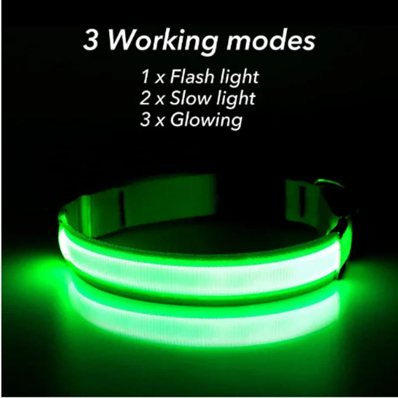 Rechargeable LED Dog Collar - Adjustable, Luminous Safety Collar for Pets-My Little Pet