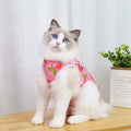 Cat and Small Dog Weaning Sterilization Suit with Cute Prints-My Little Pet