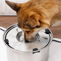 Stainless Steel Dog Water Bowl with No-Spill Design-My Little Pet