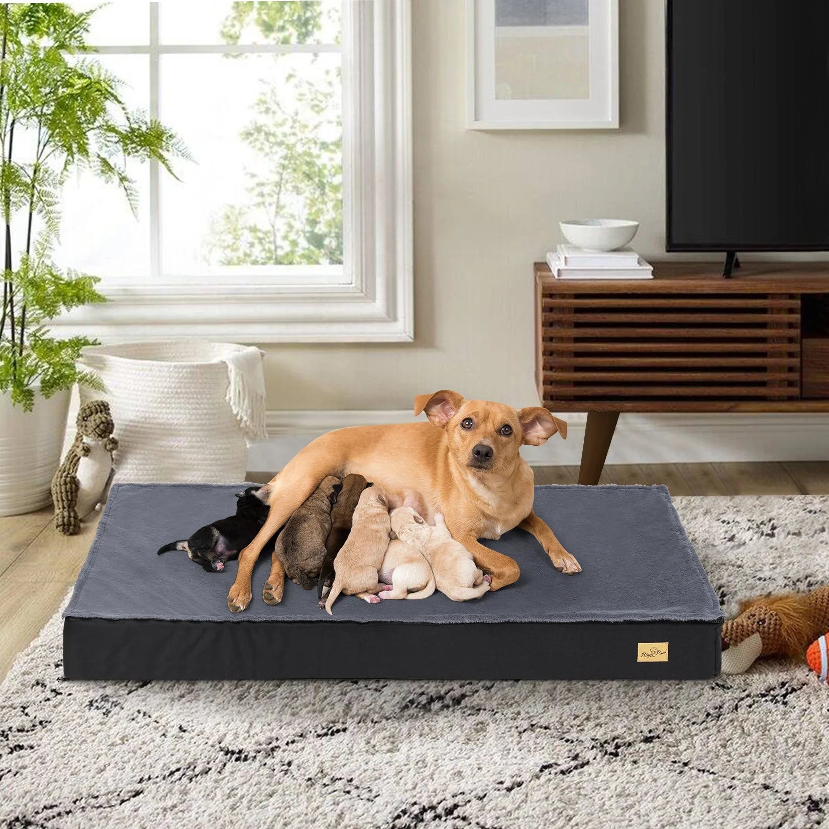 Orthopedic Waterproof Dog Bed for Medium to Large Dogs with Non-Slip Base-My Little Pet