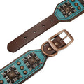 Luxury Genuine Leather Dog Collar with Spikes and Metal Rivets, 2inch Wide-My Little Pet