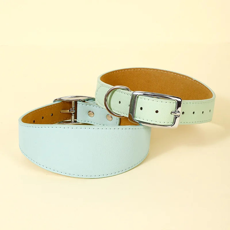 Premium Leather Dog Collar for Sighthounds and Dachshunds-My Little Pet