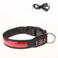 USB Rechargeable LED Dog Collar - Adjustable, Flashing Light Safety Collar for All Dog Sizes-My Little Pet