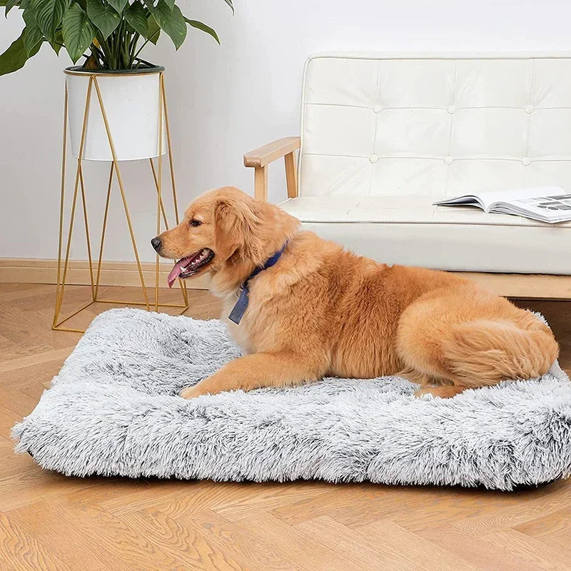 Luxurious Plush Pet Bed with Memory Foam and Heat-Reflective Features-My Little Pet