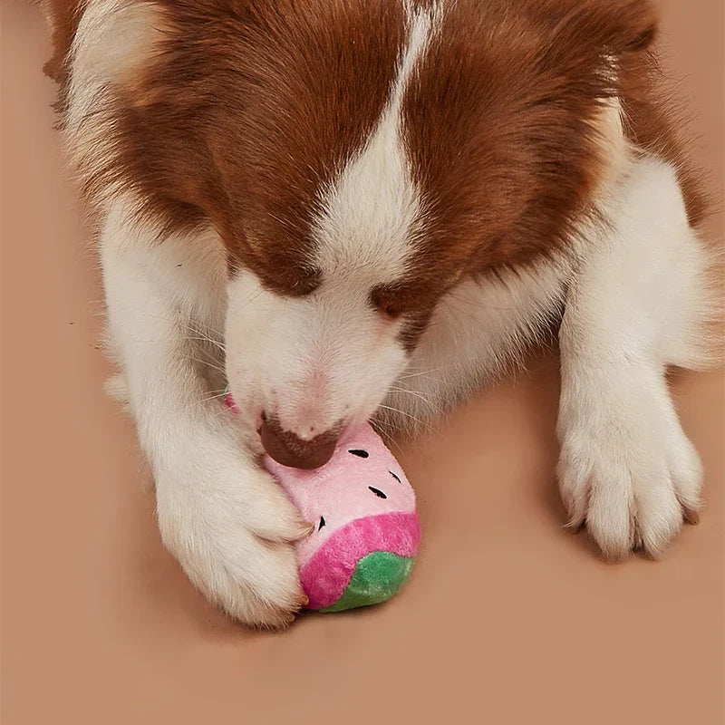 Interactive Watermelon-Shaped Plush Toy for Pets-My Little Pet