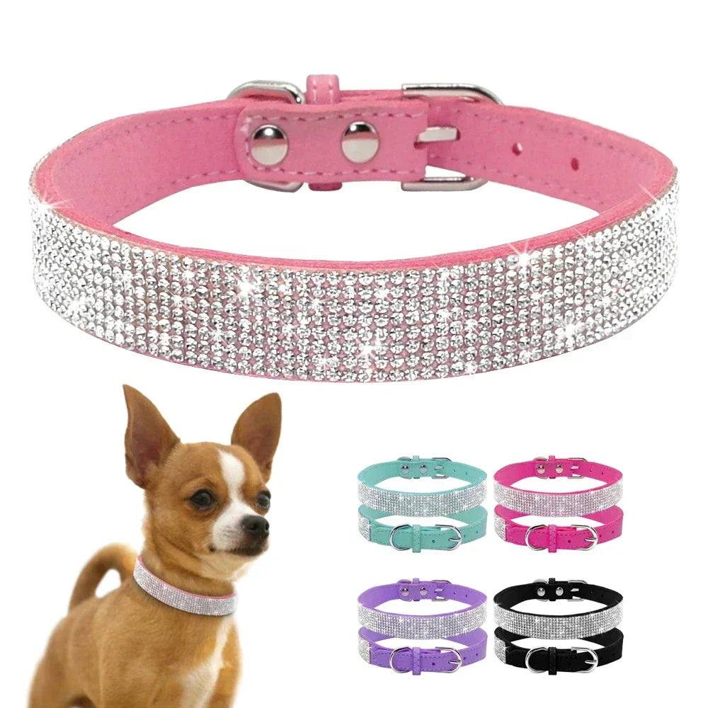 Elegant Suede Leather Dog Collar with Rhinestones-My Little Pet