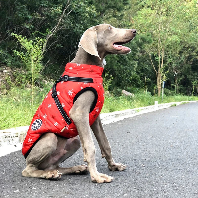 Winter Fleece Dog Jacket with Integrated Harness-My Little Pet