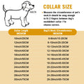 Luxury Stainless Steel Dog Collar - Durable, Stylish & Customizable-My Little Pet