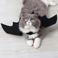 Halloween Bat Wings Costume for Cats and Small Dogs - Fun Cosplay Party Outfit-My Little Pet