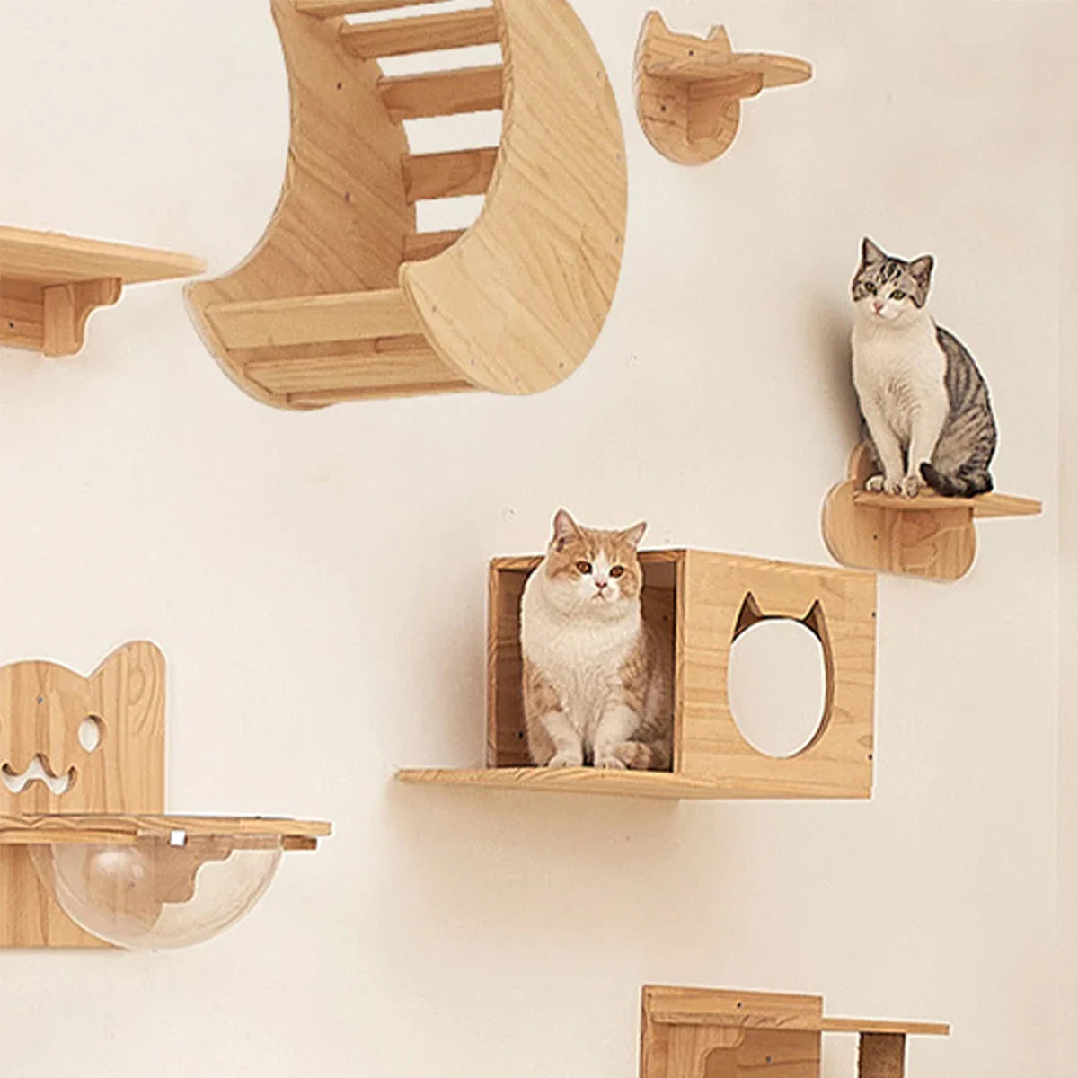 Wall-Mounted Wooden Cat Climbing Shelves - Four-Step Stair with Hammock-My Little Pet