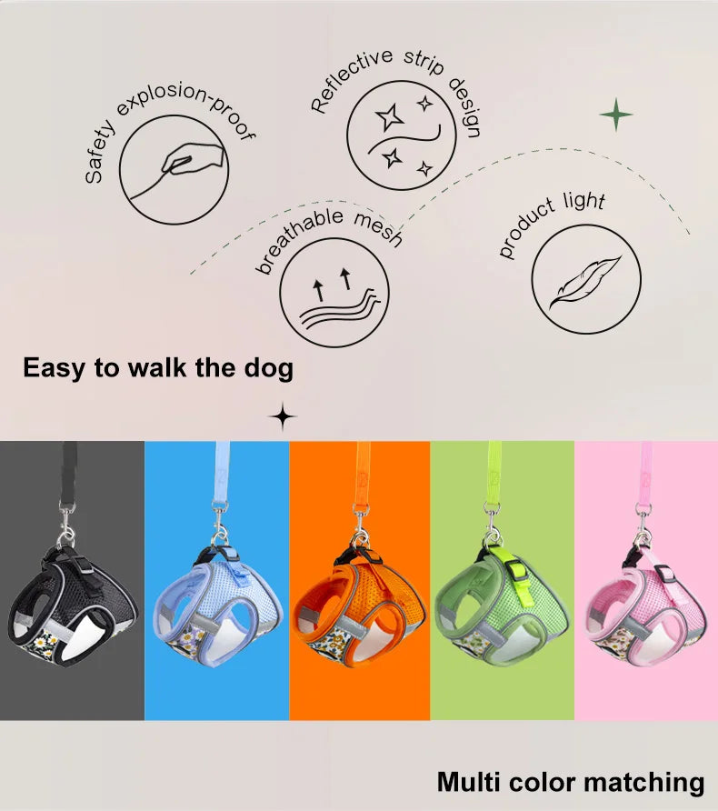 Breathable Nylon Mesh Harness and Leash for Small Pets-My Little Pet