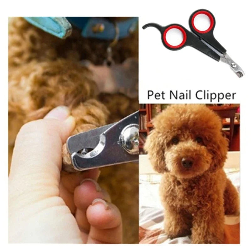 Professional Pet Nail Scissors for Dogs, Cats, and Birds-My Little Pet