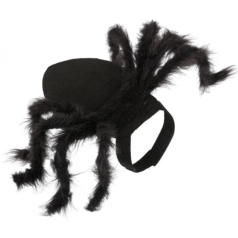 Spider Costume for Pets: Halloween Cosplay for Dogs and Cats-My Little Pet