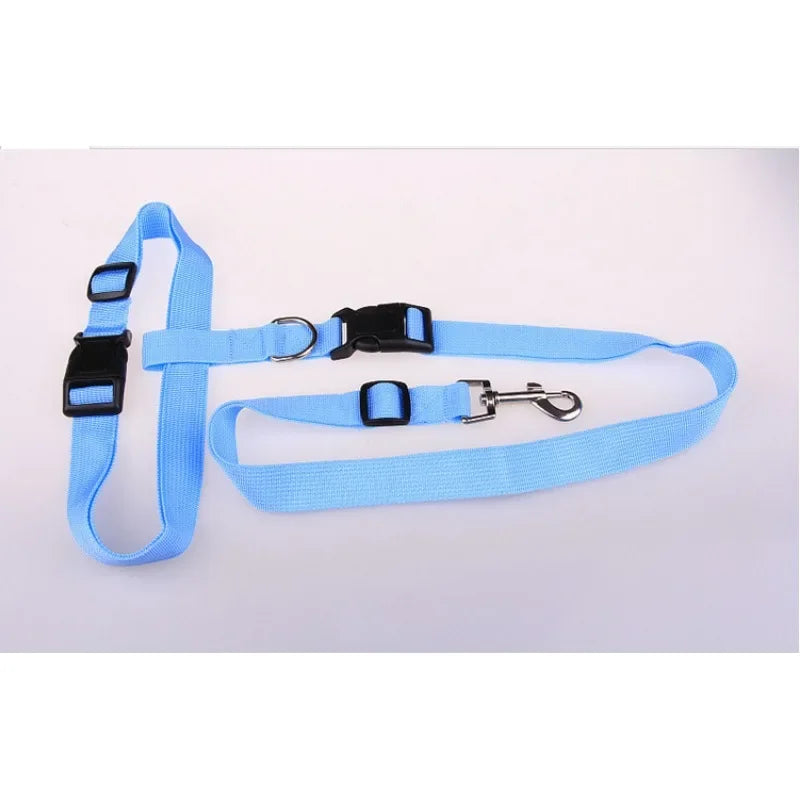 Hands-Free Adjustable Dog Leash for Active Owners-My Little Pet