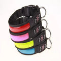 USB Rechargeable LED Dog Collar - Adjustable, Flashing Light Safety Collar for All Dog Sizes-My Little Pet