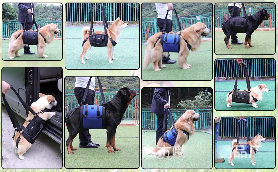 Support Harness for Dogs with Mobility Issues - Adjustable, Comfortable, and Durable-My Little Pet