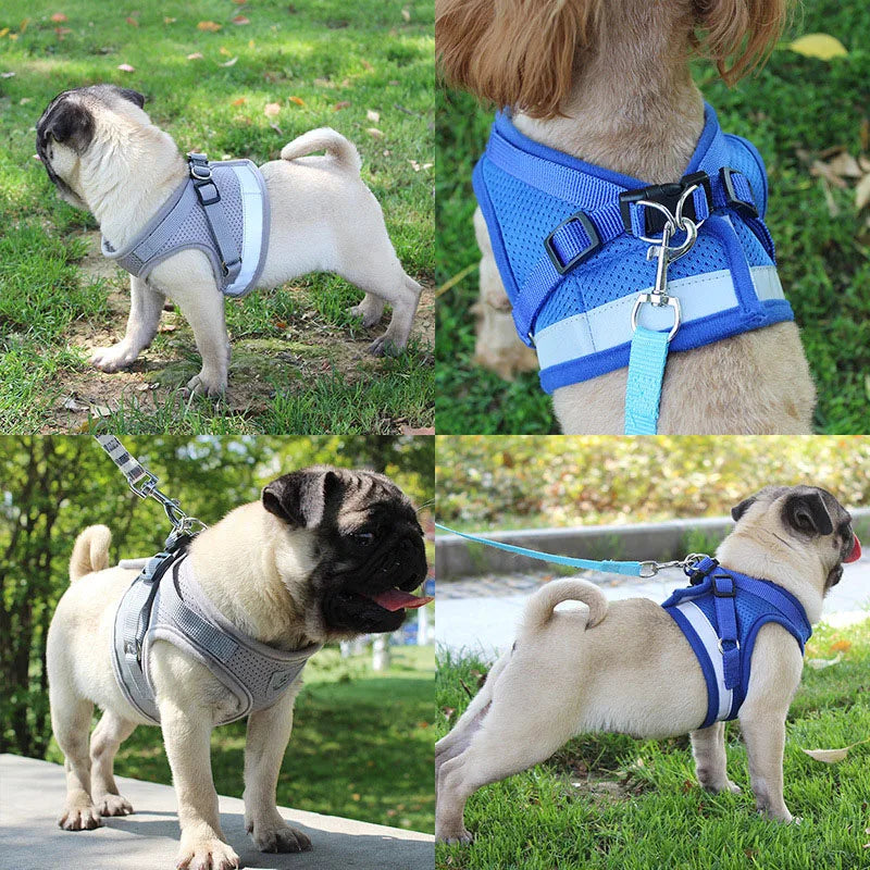 Reflective Nylon Dog Harness and Leash Set for Small to Medium Dogs and Cats-My Little Pet