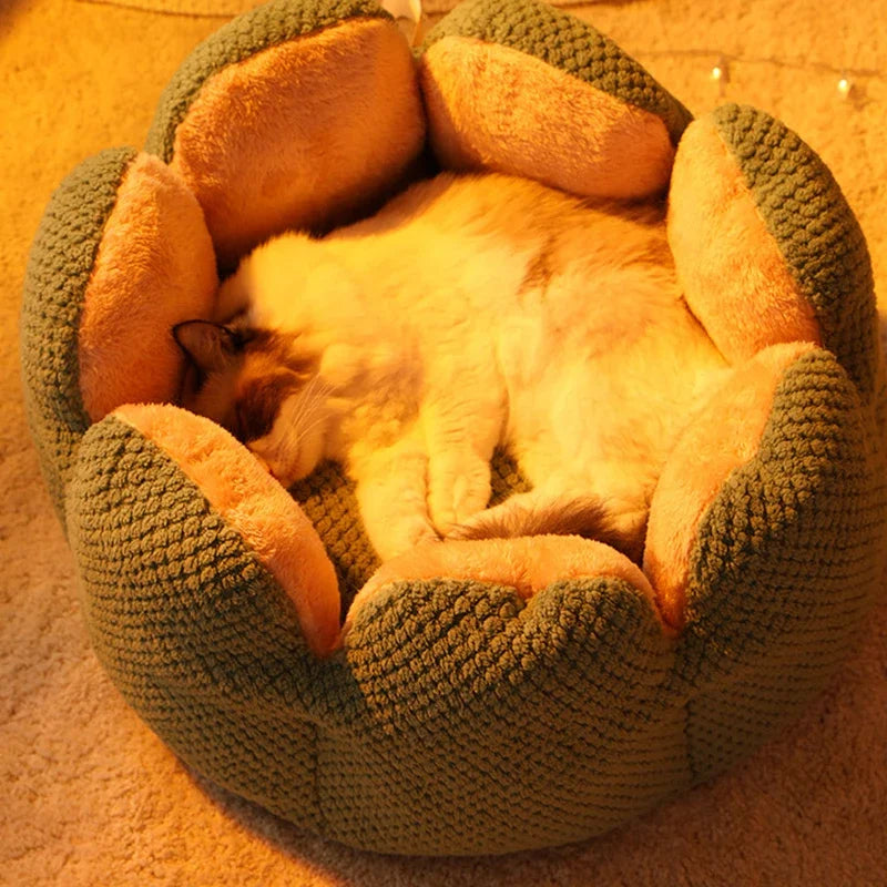 Cozy Cactus Petal-Shaped Pet Bed - Plush Cat and Dog Sleeping Cushion-My Little Pet