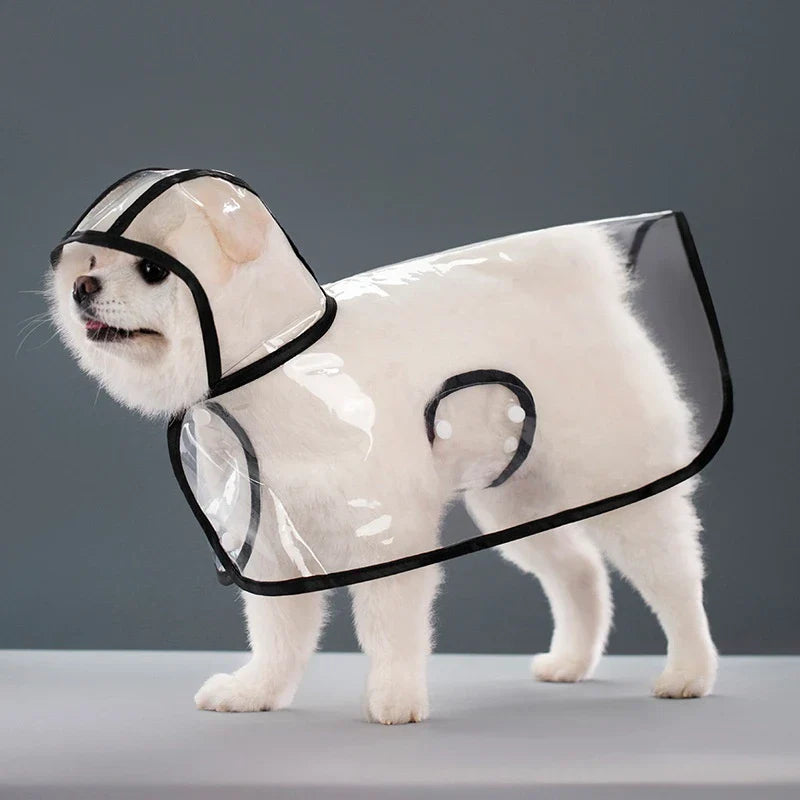 Transparent Raincoat for Dogs - Durable, Windproof, and Waterproof-My Little Pet