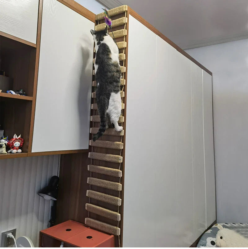 Wall-Mounted Cat Bridge with Sisal Scratching Post-My Little Pet