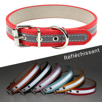 Reflective Leather Dog Collar for Enhanced Safety-My Little Pet