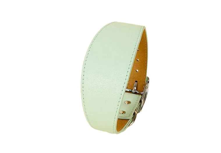 Premium Leather Dog Collar for Sighthounds and Dachshunds-My Little Pet